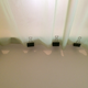 Illustration for article titled Keep Your Shower Curtain from Attacking You Using Binder Clips